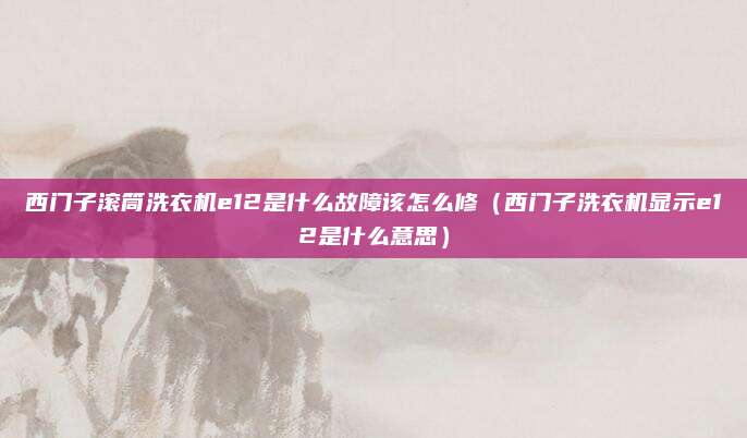 西门子滚筒洗衣机e12是什么故障该怎么修(西门子洗衣机显示e12是什么意思)