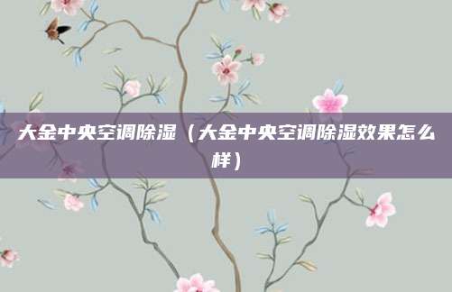 大金中央空调除湿（大金中央空调除湿效果怎么样）