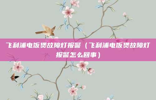 飞利浦电饭煲故障灯报警（飞利浦电饭煲故障灯报警怎么回事）