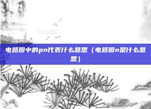电路图中的pn代表什么意思（电路图n是什么意思）