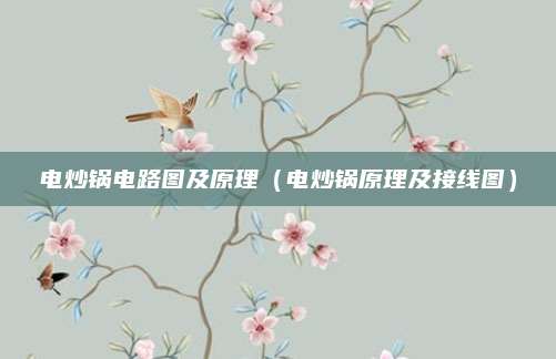 电炒锅电路图及原理(电炒锅原理及接线图)