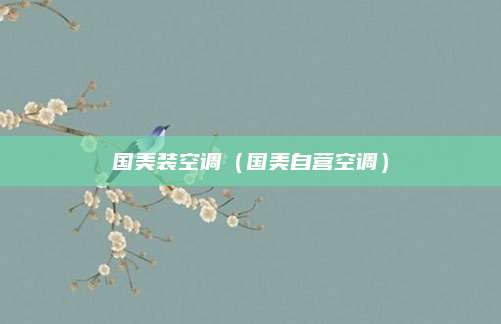 国美装空调(国美自营空调)