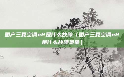 国产三菱空调e2是什么故障(国产三菱空调e2是什么故障现象)