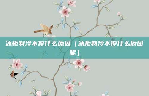 冰柜制冷不停什么原因（冰柜制冷不停什么原因呢）