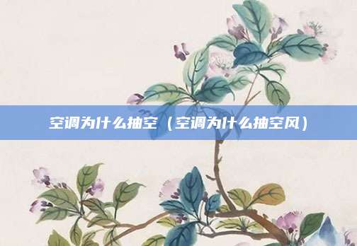 空调为什么抽空(空调为什么抽空风)
