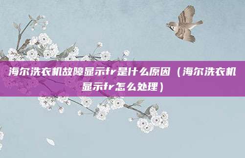海尔洗衣机故障显示fr是什么原因(海尔洗衣机显示fr怎么处理)