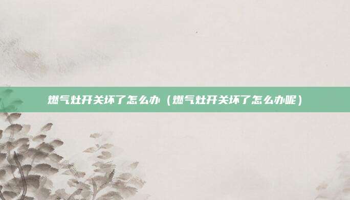 燃气灶开关坏了怎么办（燃气灶开关坏了怎么办呢）