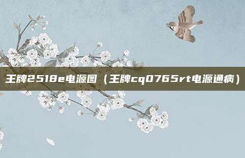 王牌2518e电源图(王牌cq0765rt电源通病)