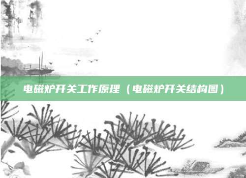 电磁炉开关工作原理（电磁炉开关结构图）