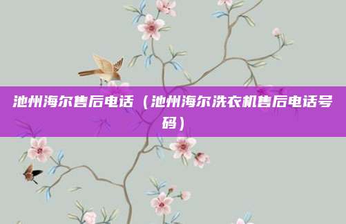 池州海尔售后电话(池州海尔洗衣机售后电话号码)