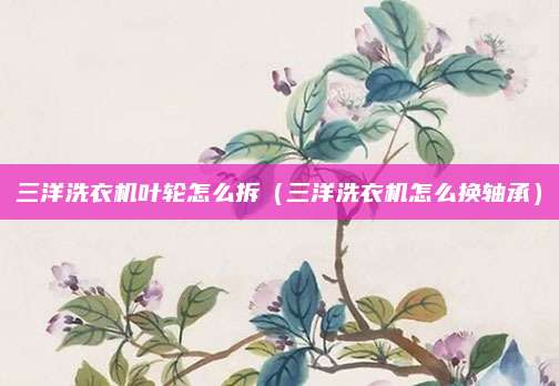 三洋洗衣机叶轮怎么拆（三洋洗衣机怎么换轴承）