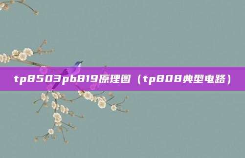tp8503pb819原理图(tp808典型电路)