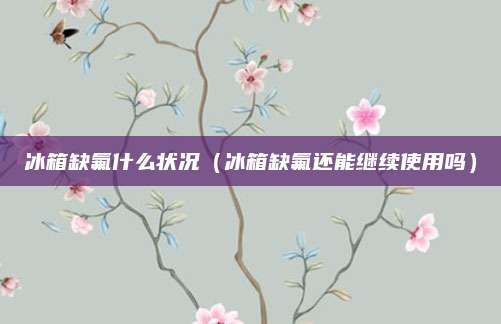 冰箱缺氟什么状况（冰箱缺氟还能继续使用吗）