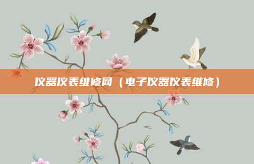 仪器仪表维修网(电子仪器仪表维修)