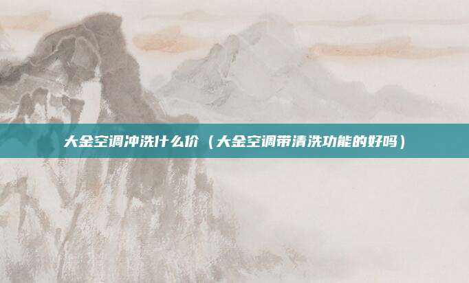 大金空调冲洗什么价（大金空调带清洗功能的好吗）