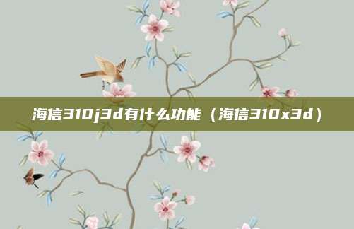 海信310j3d有什么功能（海信310x3d）