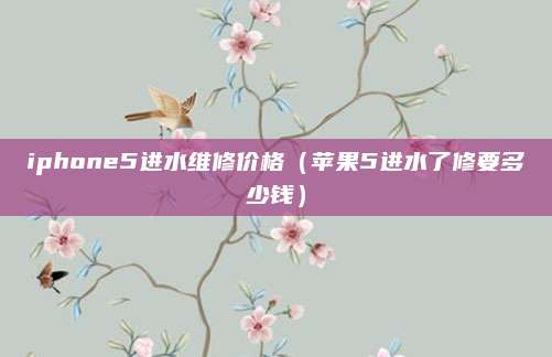 iphone5进水维修价格（苹果5进水了修要多少钱）