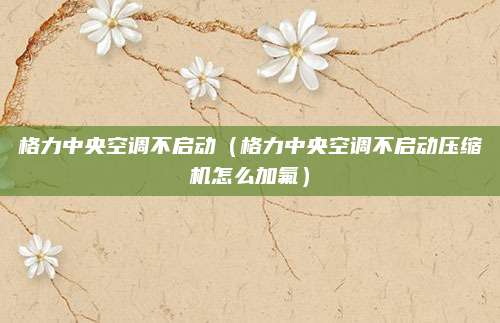 格力中央空调不启动（格力中央空调不启动压缩机怎么加氟）