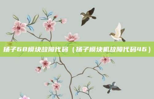扬子68模块故障代码（扬子模块机故障代码46）