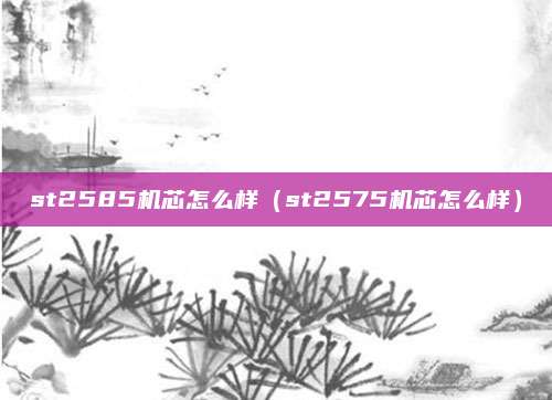 st2585机芯怎么样（st2575机芯怎么样）