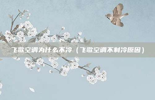 飞歌空调为什么不冷（飞歌空调不制冷原因）