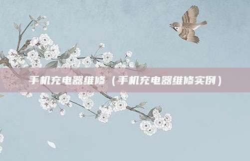 手机充电器维修（手机充电器维修实例）