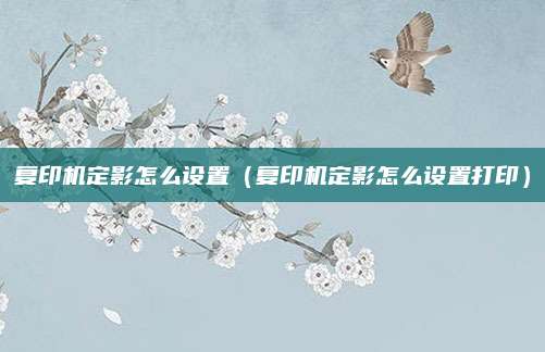 复印机定影怎么设置（复印机定影怎么设置打印）