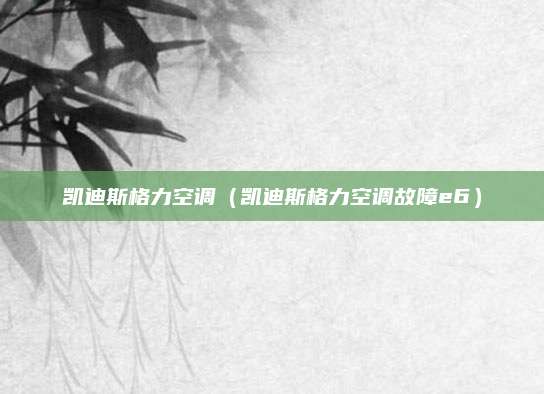 凯迪斯格力空调（凯迪斯格力空调故障e6）