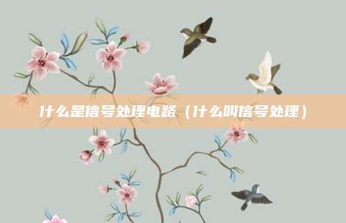 什么是信号处理电路（什么叫信号处理）