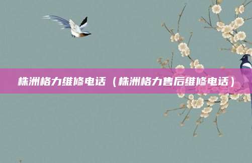 株洲格力维修电话（株洲格力售后维修电话）