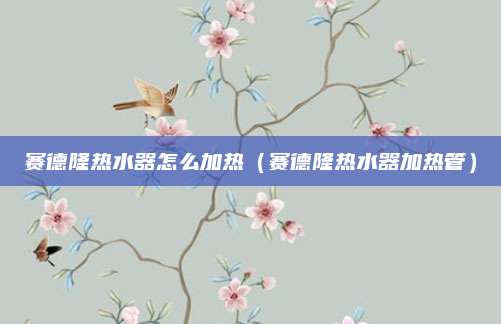 赛德隆热水器怎么加热（赛德隆热水器加热管）