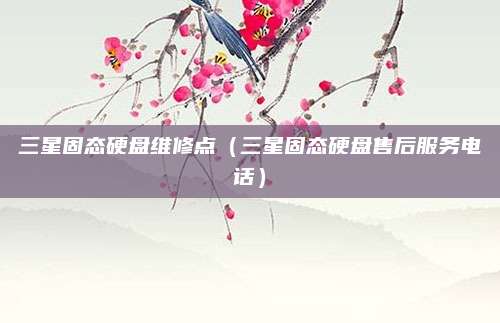三星固态硬盘维修点（三星固态硬盘售后服务电话）
