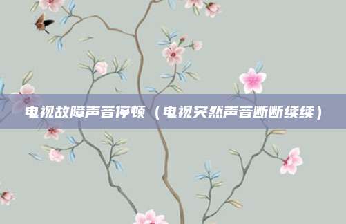 电视故障声音停顿（电视突然声音断断续续）