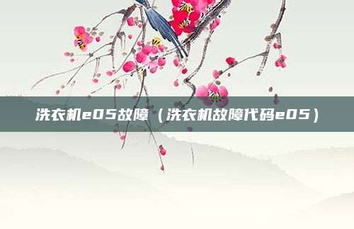 洗衣机e05故障（洗衣机故障代码e05）