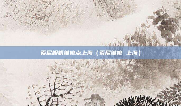 索尼相机维修点上海（索尼维修 上海）