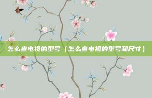 怎么查电视的型号（怎么查电视的型号和尺寸）