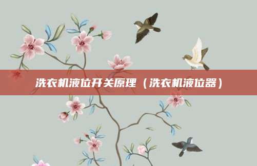 洗衣机液位开关原理（洗衣机液位器）