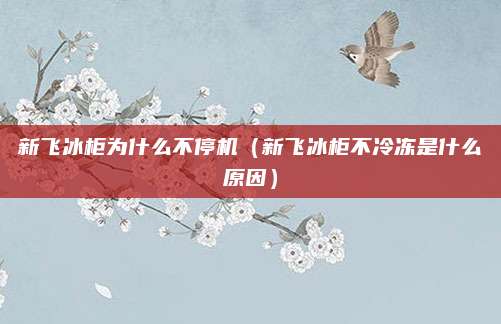 新飞冰柜为什么不停机（新飞冰柜不冷冻是什么原因）