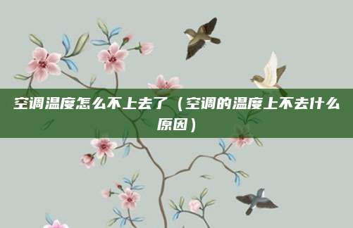 空调温度怎么不上去了（空调的温度上不去什么原因）
