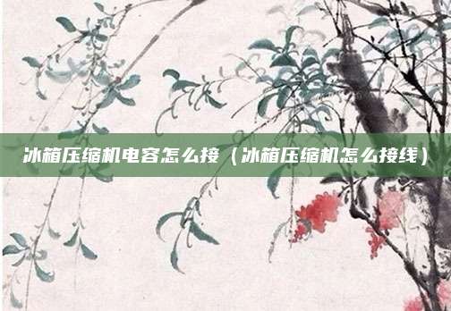 冰箱压缩机电容怎么接（冰箱压缩机怎么接线）