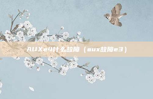 AUXe4什么故障（aux故障e3）