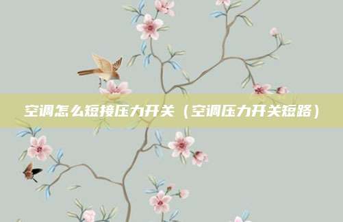 空调怎么短接压力开关（空调压力开关短路）