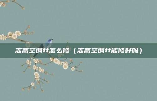 志高空调ff怎么修（志高空调ff能修好吗）