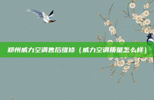 郑州威力空调售后维修（威力空调质量怎么样）
