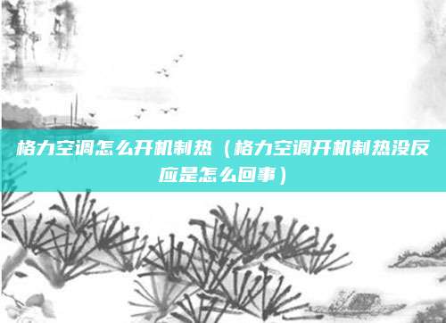 格力空调怎么开机制热（格力空调开机制热没反应是怎么回事）