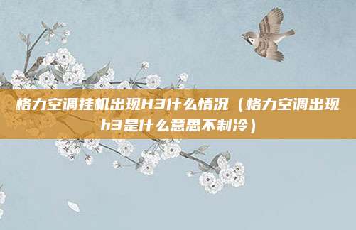 格力空调挂机出现H3什么情况（格力空调出现h3是什么意思不制冷）