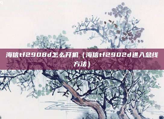 海信tf2908d怎么开机（海信tf2902d进入总线方法）