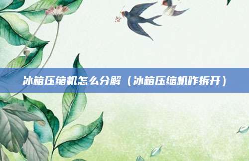 冰箱压缩机怎么分解（冰箱压缩机咋拆开）