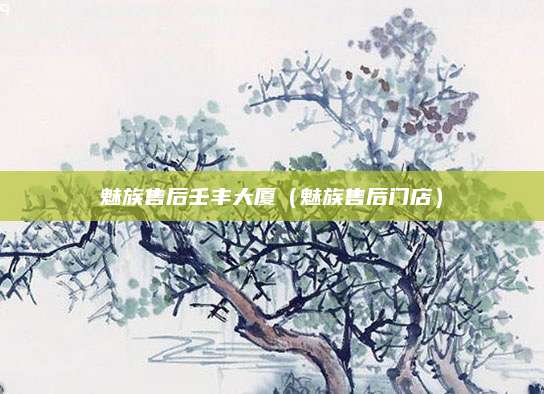 魅族售后壬丰大厦(魅族售后门店)