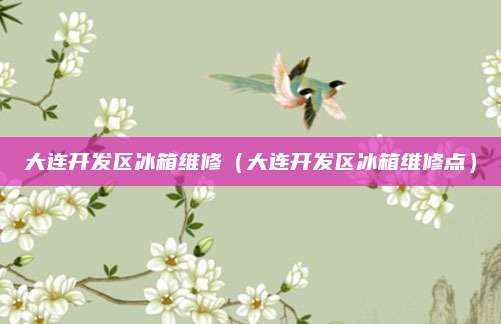 大连开发区冰箱维修（大连开发区冰箱维修点）